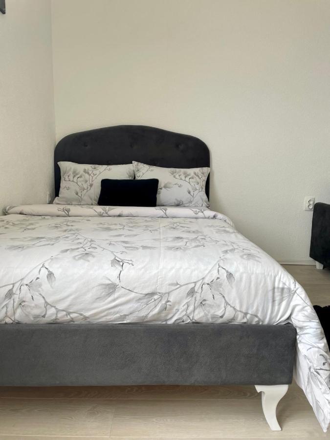 Apartment Andric